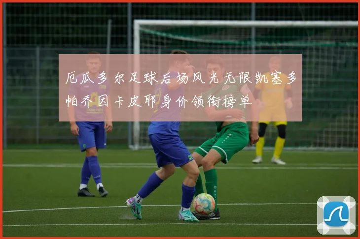 厄瓜多尔足球后场风光无限凯塞多帕乔因卡皮耶身价领衔榜单